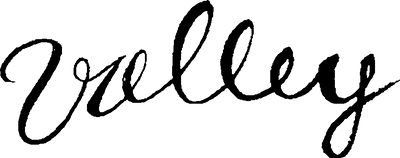 VALLEY DENIM logo