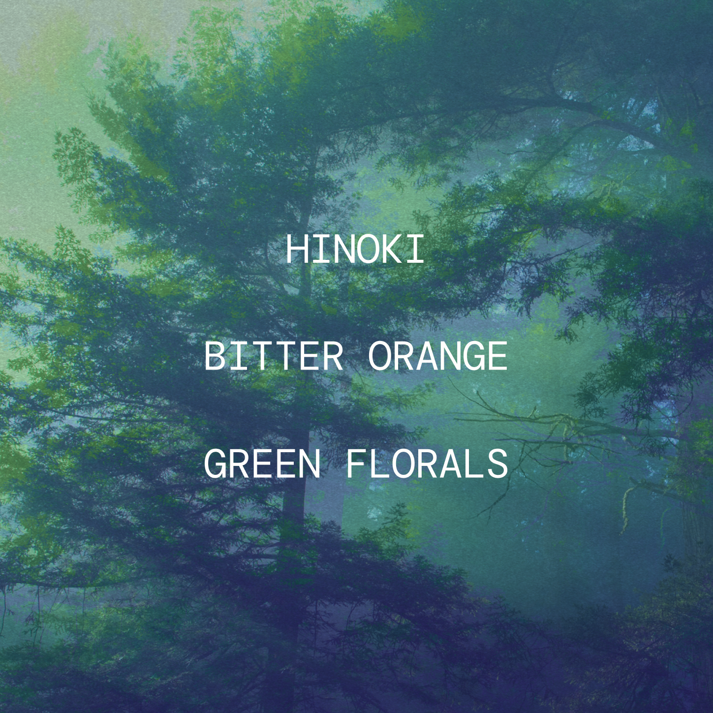 Antiwash Hinoki Daydream Functional Clothing Spray