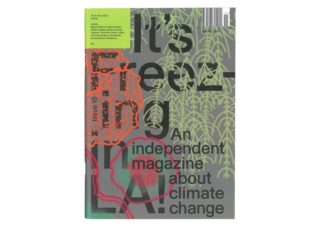 It's Freezing in LA! - Issue 10